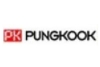 LOGO-CTY-PUNGKOOK